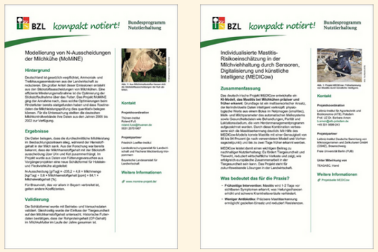 Ein Screenshot von zwei Kompaktinfos; jeweils die erste Seite