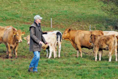 Stress beim Treiben mindern