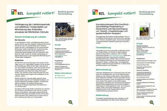 Ein Screenshot von zwei Kompaktinfos; hier VerLak und InnoRind