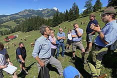 Klimawandel setzt Almen und Alpen zu