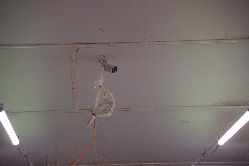 Eine Kamera hängt an einer Stalldecke. Klick führt zu Großansicht in neuem Fenster.