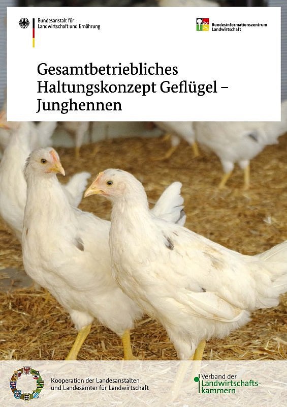 Cover der Broschüre "Gesamtbetriebliches Haltungskonzept Geflügel - Junghenne"