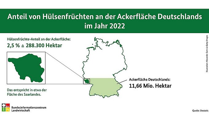 Infografik: Anteil von Hülsenfrüchten an der Ackerfläche Deutschlands. Klick führt zu Großansicht im neuen Fenster.
