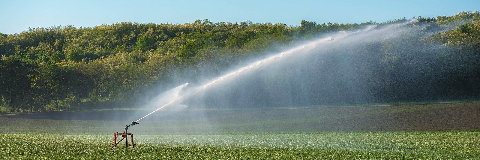 Großer Sprinkler bewässert ein Feld