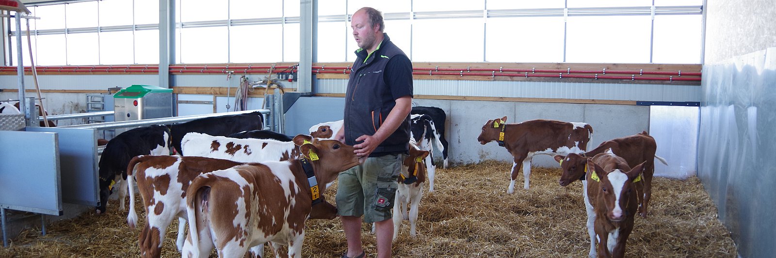Ein Landwirt steht bei seinen Rindern im Stall. Klick führt zu Großansicht in neuem Fenster.