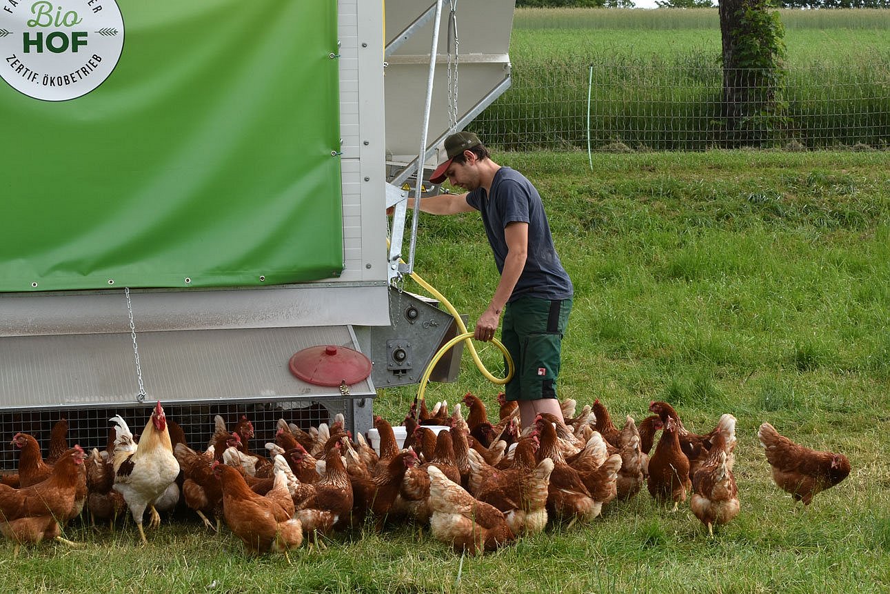 Landwirt neben Hühnermobil füllt den Wasserbehälter der Tränke auf. Klick führt zu Großansicht im neuen Fenster.