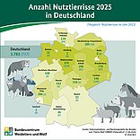 BZL-Infografik: Anzahl Nutztierrisse 2025 in Deutschland