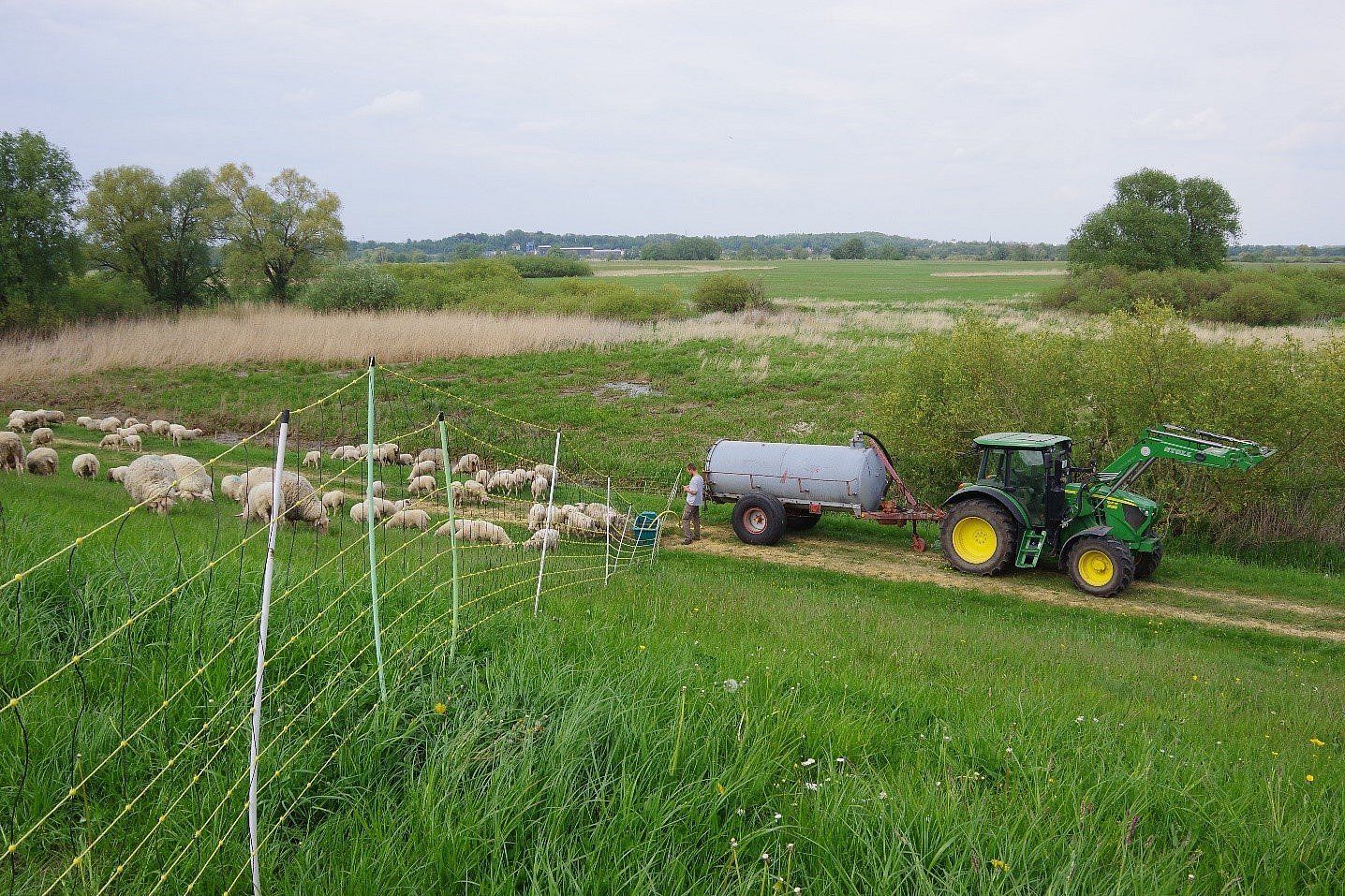 Eine Schafherde auf einer mit Elektronetzen eingezäunten Koppel, eine mobile Tränke (Wasserfass) sowie ausgezäunten nassen Bereichen im Hintergrund. Klick führt zu Großansicht im neuen Fenster. 