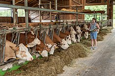 Tierwohl-Indikatoren bei Milchkühen