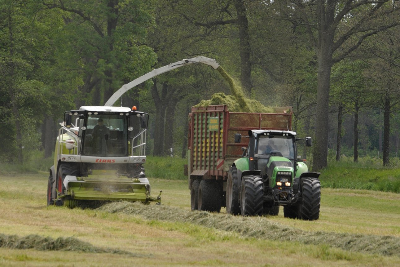 Feldhäcksler und Schlepper mit Häckselwagen bei der Bergung von Grassilage. Klick führt zu Großansicht in neuem Fenster.