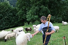 Wirtschaftlichkeit der Schafhaltung