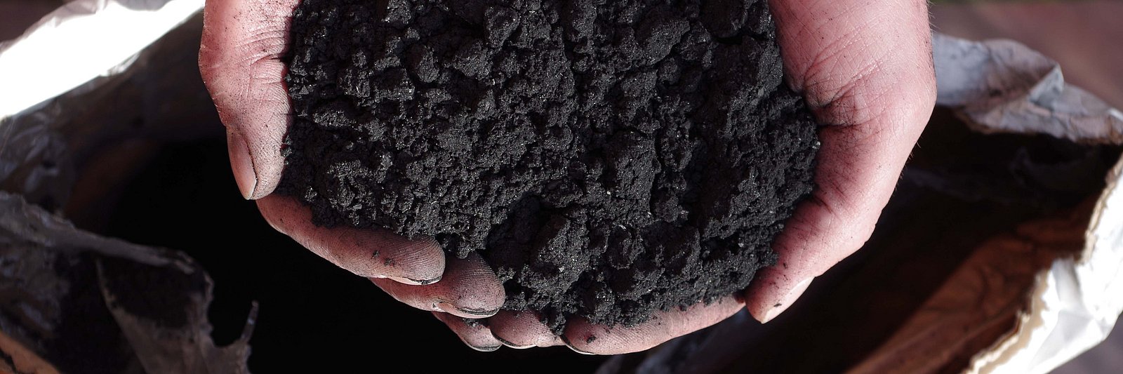 Hände mit feinkrümeliger Pflanzenkohle