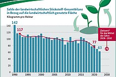 BZL-Infografik: Stickstoffüberschuss in der Landwirtschaft leicht gesunken