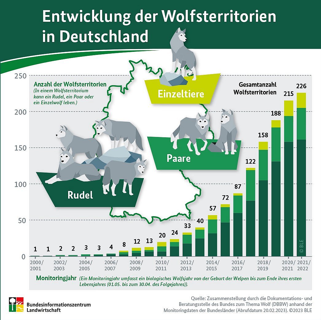 Grafik zur Entwicklung der Wolfsterritorien in Deutschland. Klick führt zu Großansicht im neuen Fenster.