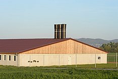 Blick auf einen großen Schweinestall mit Abluftrohren auf dem Dach. Klick führt zu Großansicht im neuen Fenster.