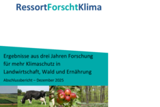 Abschlussbericht RessortForschtKlima verfügbar