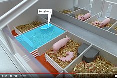 Videos: Planungsbeispiele für Schweineställe der Zukunft
