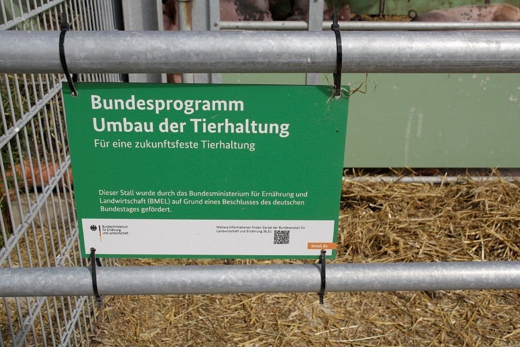 Schild mit Hinweis auf das Bundesprogramm Umbau der Tierhaltung. Klick führt zur Großansicht im neuen Fenster.
