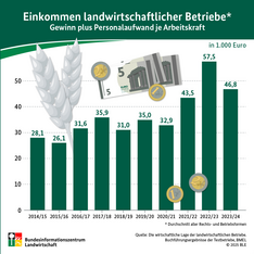 Infografik zum Einkommen landwirtschaftlicher Betriebe in Deutschland. Klick führt zu Großansicht im neuen Fenster. 