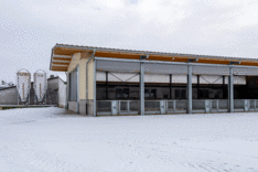 Mehr Tierwohl für Ferkel