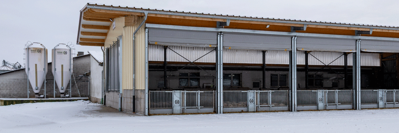 Ein Ferkelaufzuchtstall als Außenklimastall in Seitenansicht. 