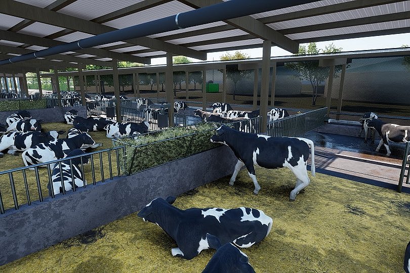Die 3D Zeichnung zeigt den Blick in den Liegebereich. Auf den buchtentrennwänden sind gefüllte Futterraufen angebracht. Ein Rind steht dort und frisst. Weitere Tiere liegen im Stroh.