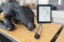 Ein schwarzer Dummy eines Kalbs liegt auf einem Tisch, dazu ein Tablet und ein Werkzeug zum Enthornen.