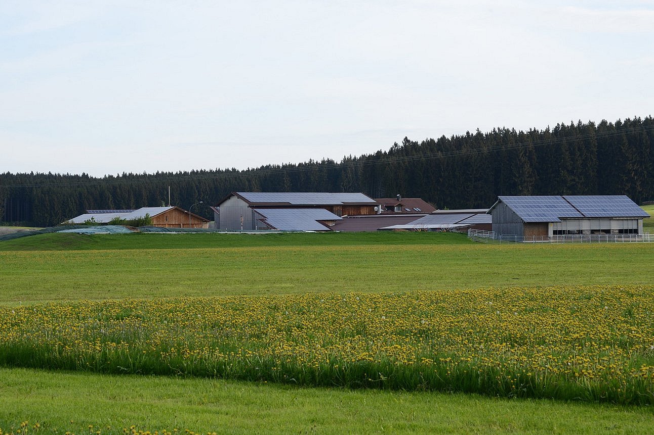 Landwirtschaftlicher Betrieb mit vielen Dächern. Klick führt zu Großansicht im neuen Fenster.